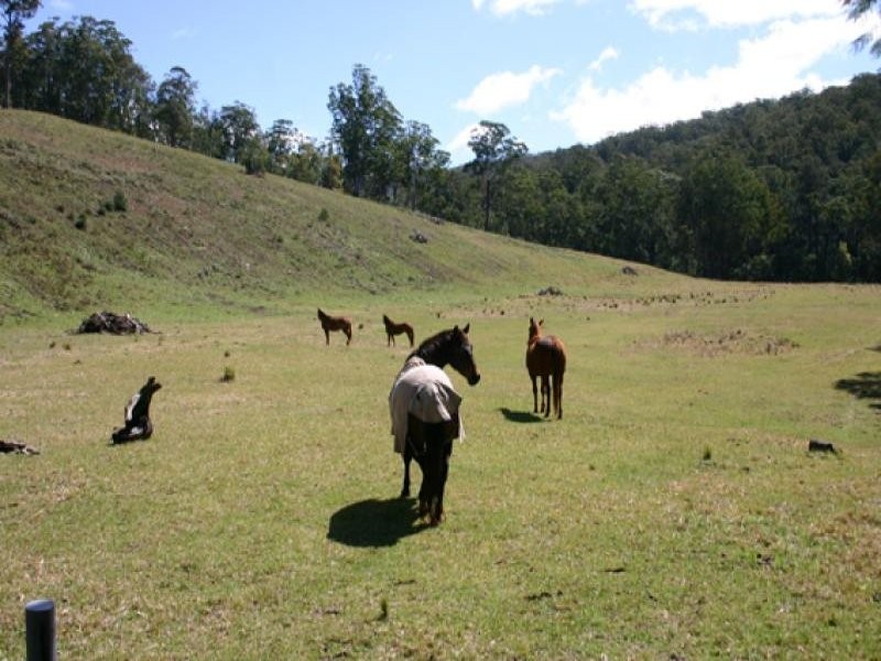 Lot 12 Kings Highway, Nelligen NSW 2536