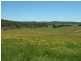 Lot 12 Kings Highway, Braidwood NSW 2622