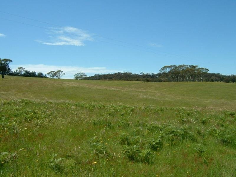 Lot 12 Kings Highway, Braidwood NSW 2622