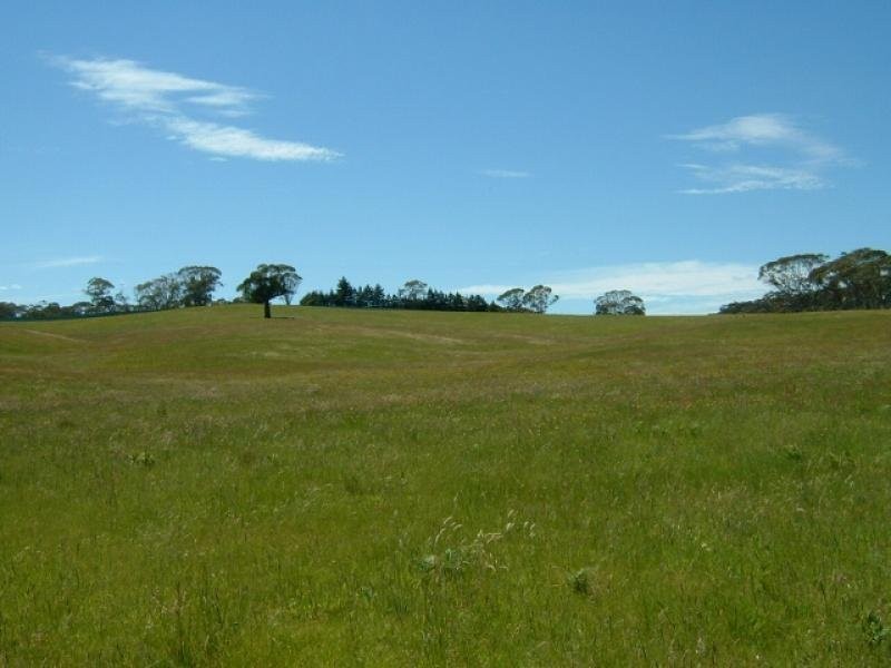 Lot 12 Kings Highway, Braidwood NSW 2622