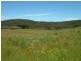 Lot 12 Kings Highway, Braidwood NSW 2622