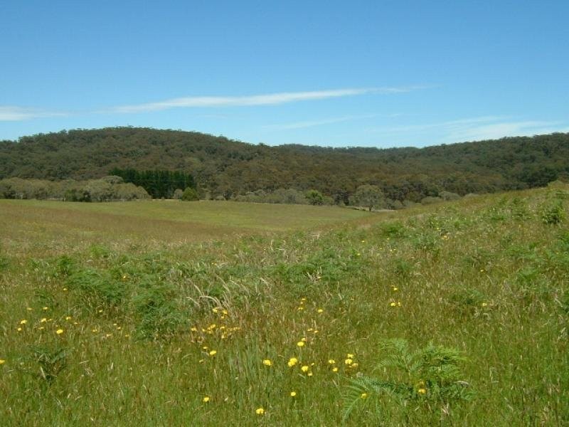 Lot 12 Kings Highway, Braidwood NSW 2622