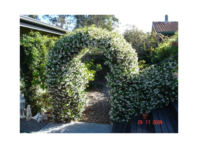 99 Greenbank Grove, Culburra Beach NSW 2540