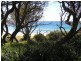 159 Marina Lane, Culburra Beach NSW 2540