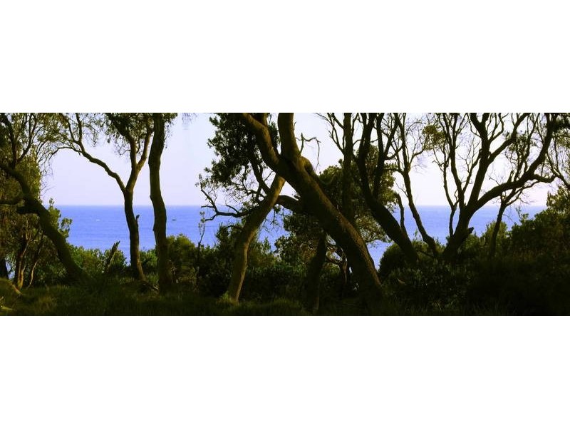 59 Allerton Lane, Culburra Beach NSW 2540