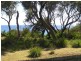 59 Allerton Lane, Culburra Beach NSW 2540