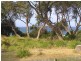 59 Allerton Lane, Culburra Beach NSW 2540