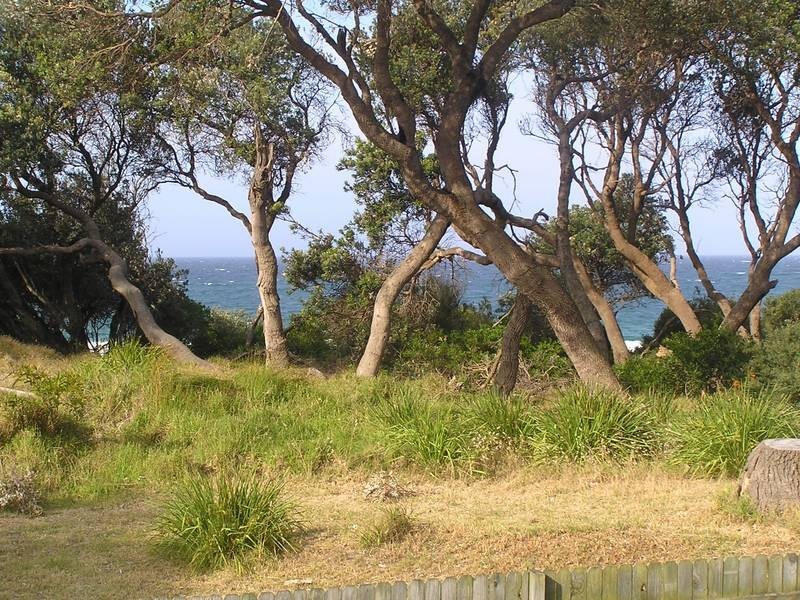 59 Allerton Lane, Culburra Beach NSW 2540