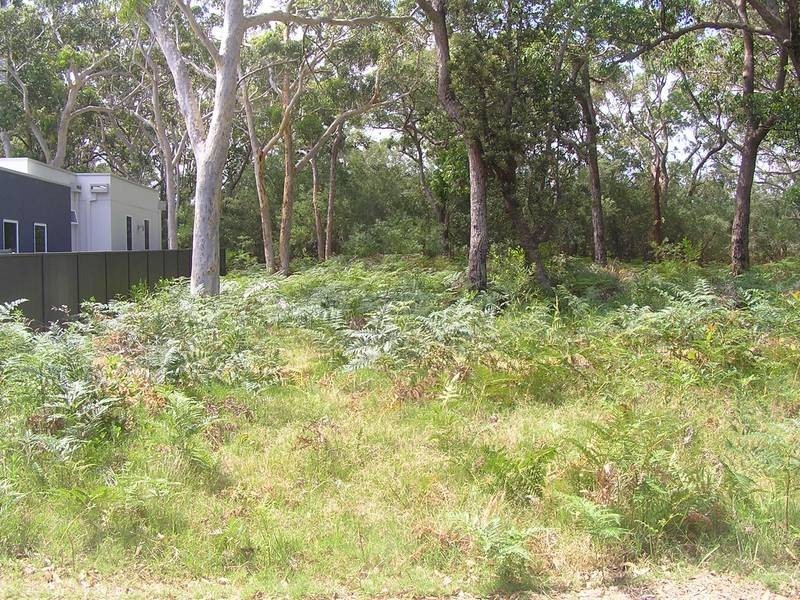 4 Silkwood Row, Callala Beach NSW 2540