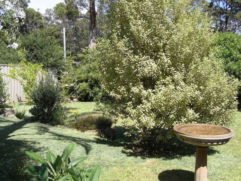 57 Lackersteen Street, Callala Bay NSW 2540