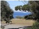 43 Morton Street, Callala Bay NSW 2540