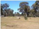 255 Springbank Road, Pyree NSW 2540