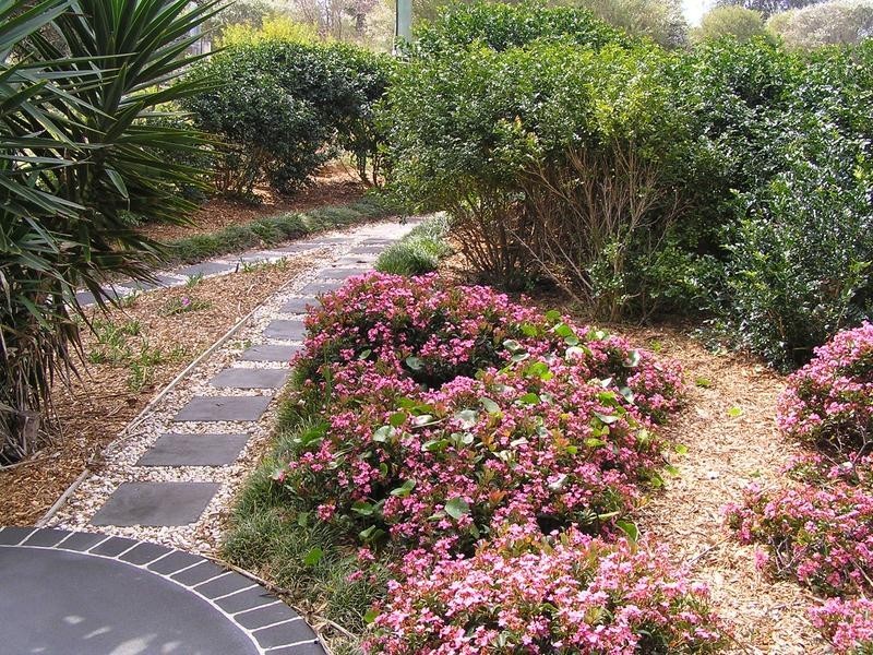 12 Vivian Way, Culburra Beach NSW 2540