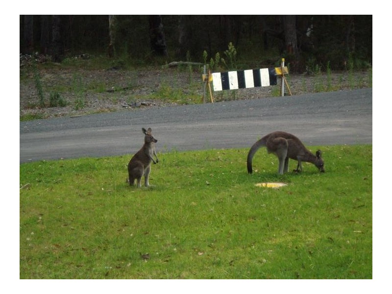 - Corner of Sheaffe & Woodhill Street, Callala Bay NSW 2540