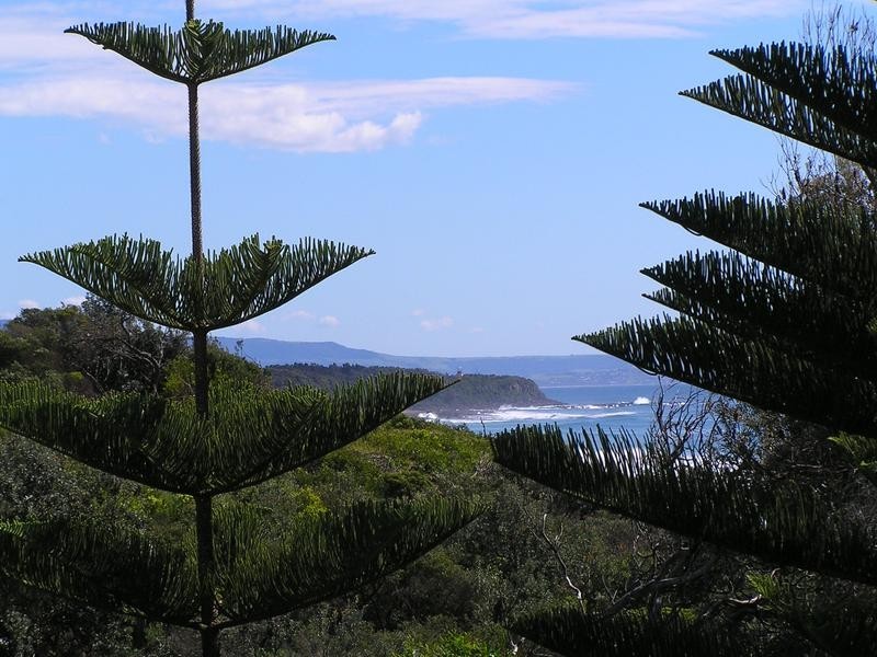 77 The Marina, Culburra Beach NSW 2540
