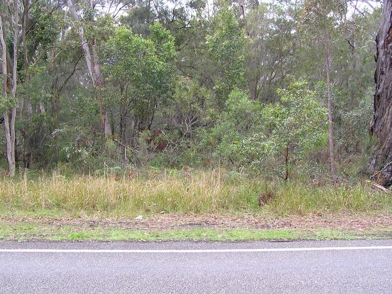 Lot 16,  Illustrious Court, Callala Beach NSW 2540