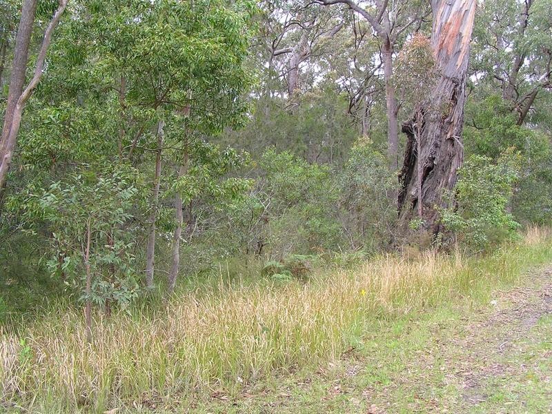 Lot 16,  Illustrious Court, Callala Beach NSW 2540