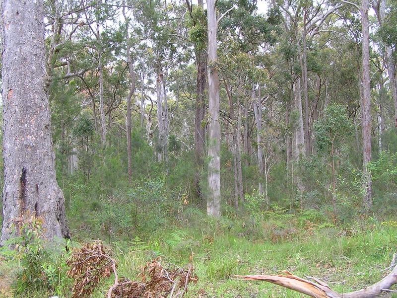 Lot 16,  Illustrious Court, Callala Beach NSW 2540