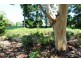 9 Roskell Road, Callala Beach NSW 2540