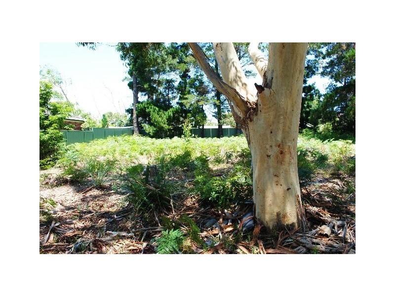 9 Roskell Road, Callala Beach NSW 2540