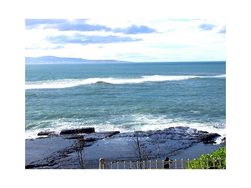 254 Penguin Head Road, Culburra Beach NSW 2540