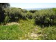 141 The Marina, Culburra Beach NSW 2540