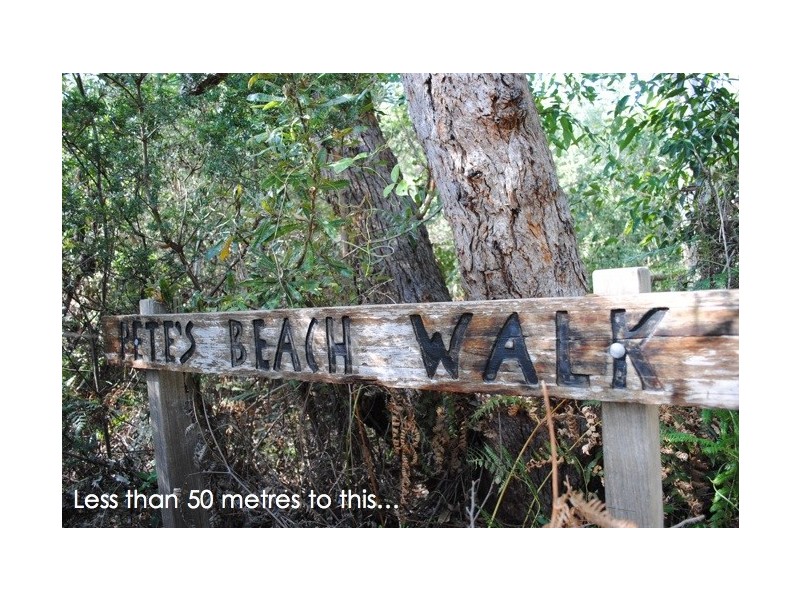 Lot 77,  Sagewood Row, Callala Beach NSW 2540