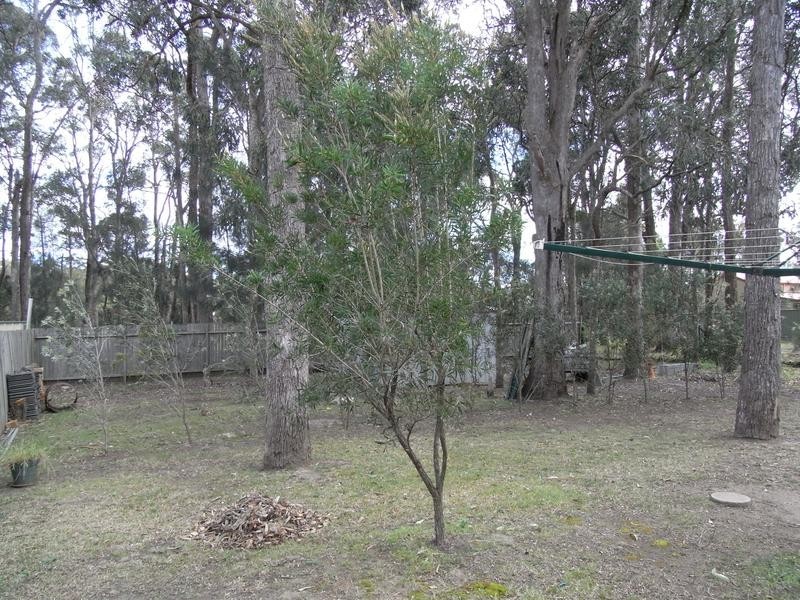 14 Chisholm Street, Callala Bay NSW 2540