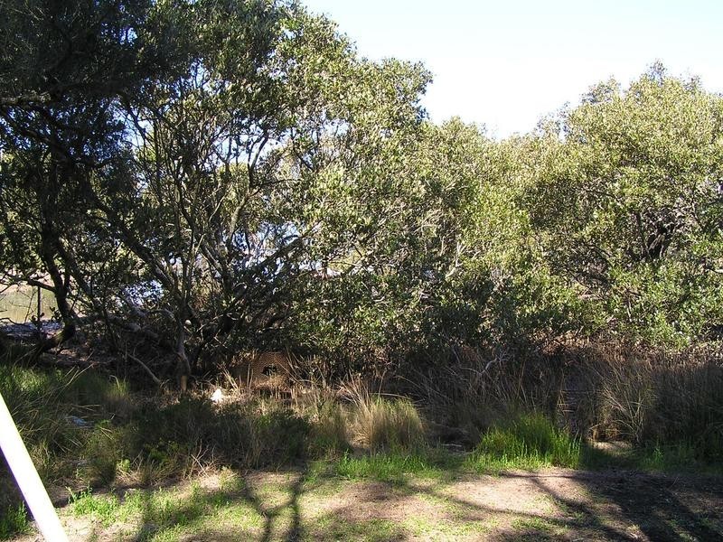 8 Orient Point Road, Culburra Beach NSW 2540