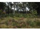 Lot 82 Silkwood Walk, Callala Beach NSW 2540