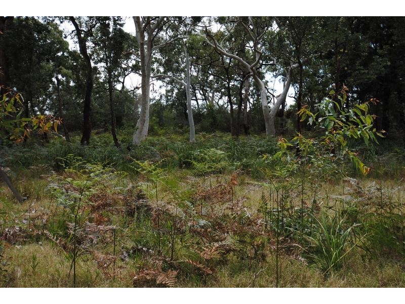 Lot 82 Silkwood Walk, Callala Beach NSW 2540