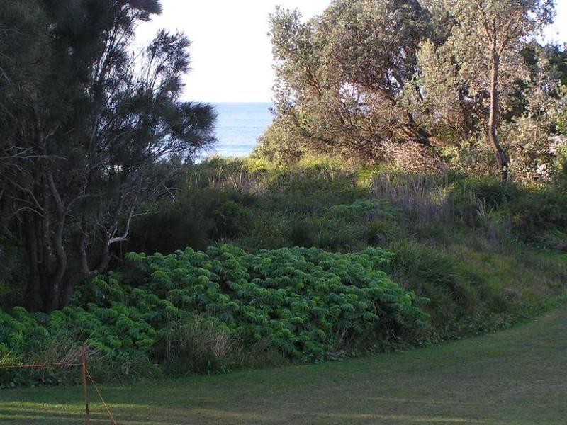 45 Allerton Avenue, Culburra Beach NSW 2540