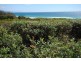141 The Marina, Culburra Beach NSW 2540