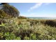 141 The Marina, Culburra Beach NSW 2540