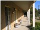 2 Penguin Head Road, Culburra Beach NSW 2540