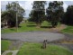 58 Addison Road, Culburra Beach NSW 2540