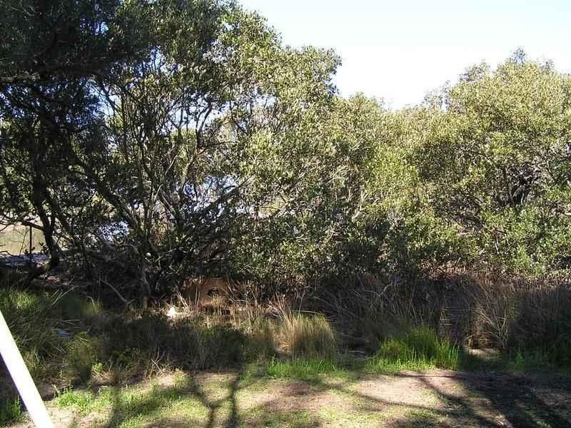 8 Orient Point Road, Culburra Beach NSW 2540