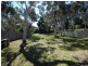 100 King George Street, Callala Beach NSW 2540