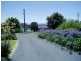 42 Orama Crescent, Orient Point NSW 2540
