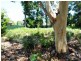 9 Roskell Road, Callala Beach NSW 2540