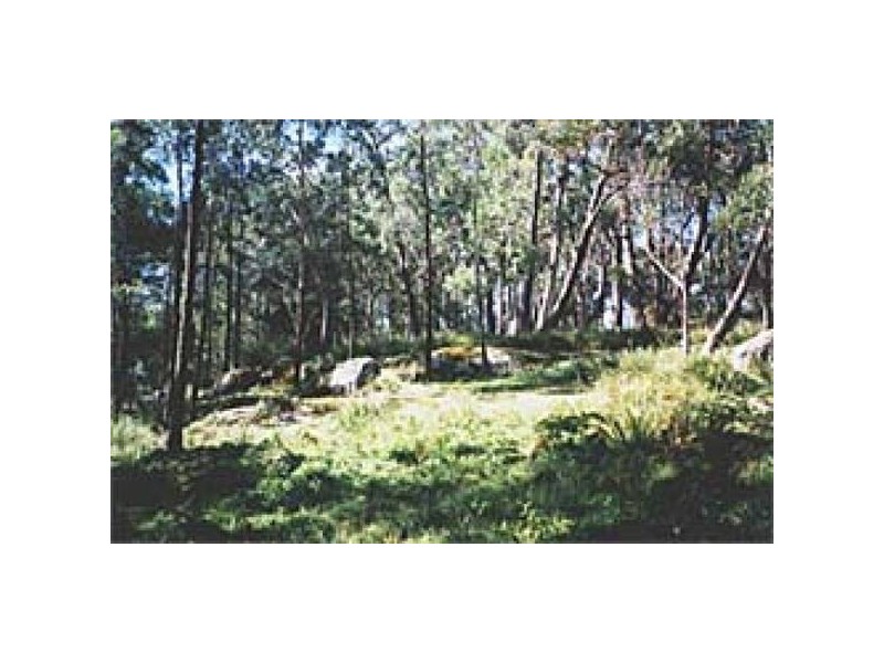 Sassafras NSW 2622