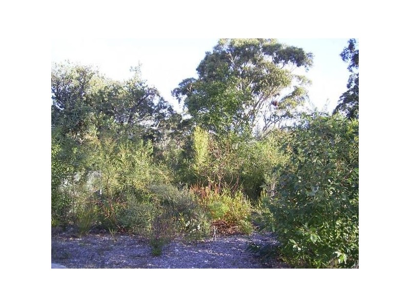 Lot 65 Sandlewood COVE, Callala Beach NSW 2540