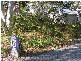 Lot 68 Sandlewood COVE, Callala Beach NSW 2540