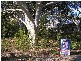 Lot 68 Sandlewood COVE, Callala Beach NSW 2540