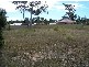 47 Emmett STREET, Callala Bay NSW 2540