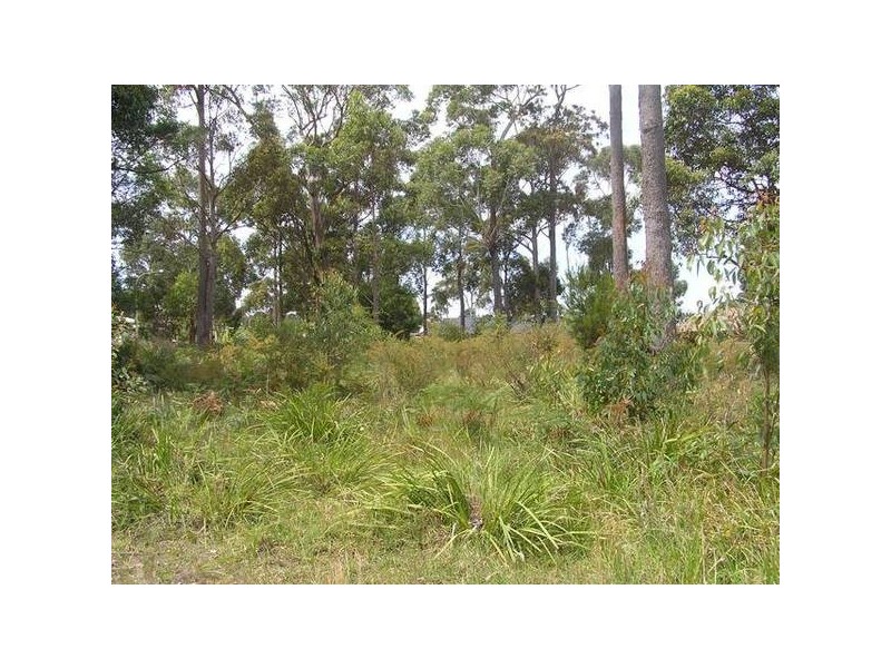 16 Barden Close, Callala Bay NSW 2540