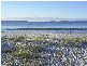 87 Quay Road, Callala Beach NSW 2540