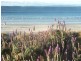 147 Quay Road, Callala Beach NSW 2540