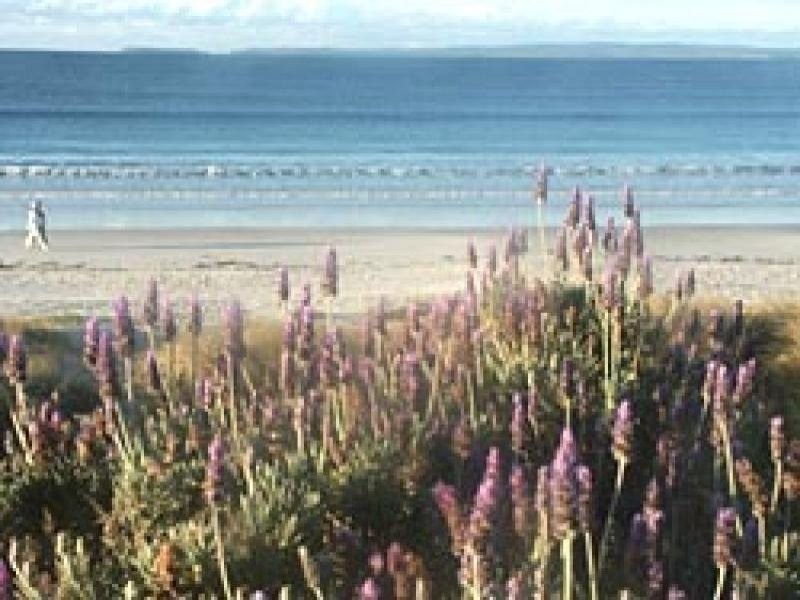 147 Quay Road, Callala Beach NSW 2540