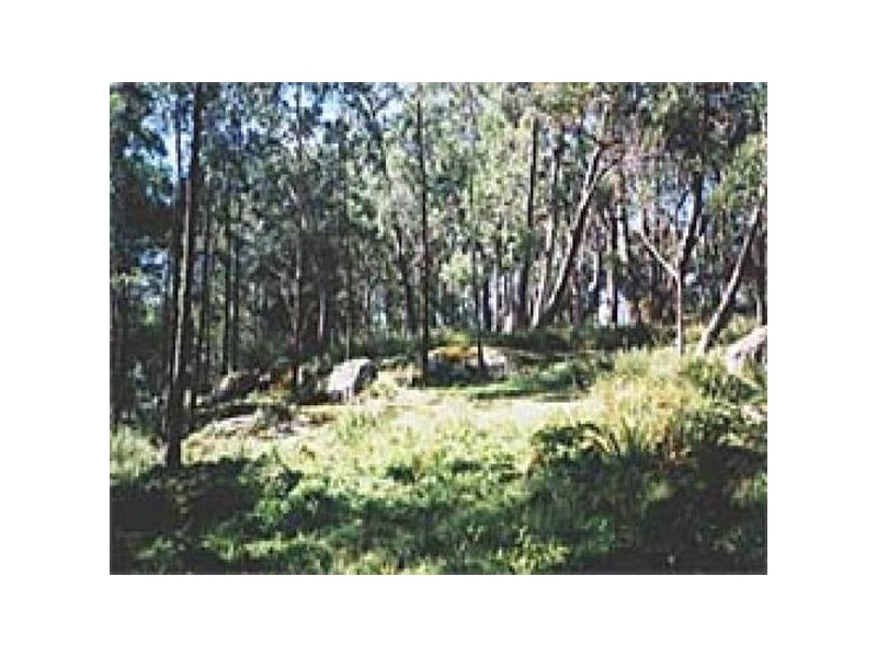 2 Sturgiss Road, Sassafras NSW 2622